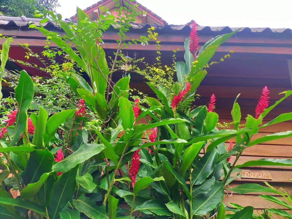 Champalao The Villa Vang Vieng Esterno foto