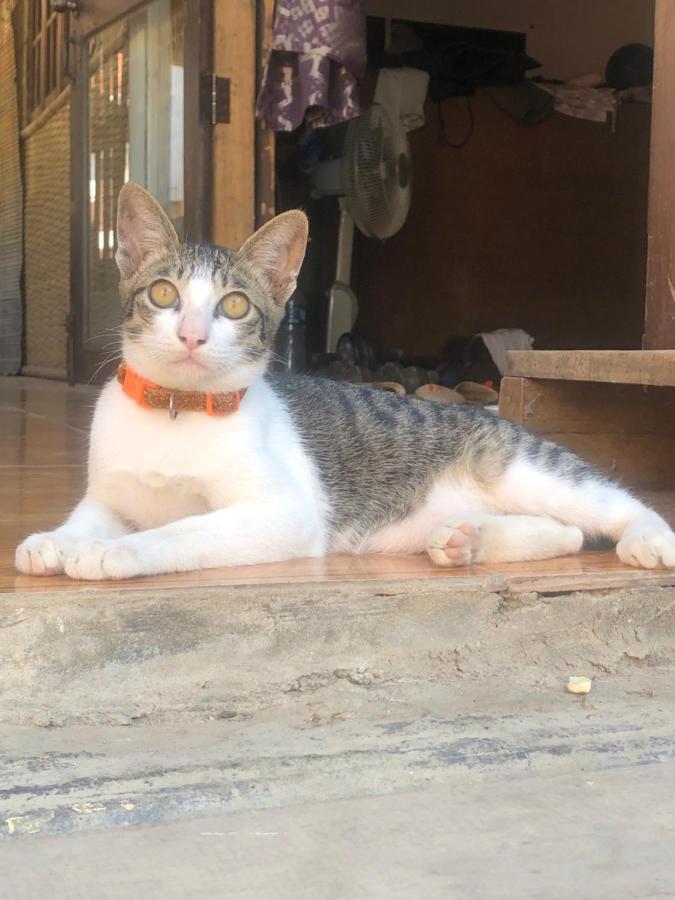 Champalao The Villa Vang Vieng Esterno foto